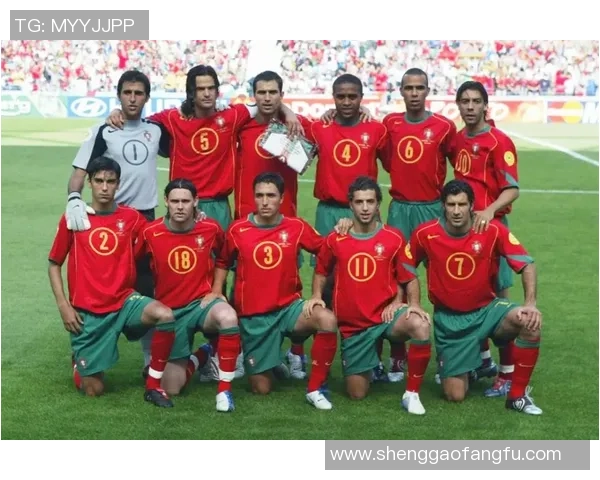 纵览足球史二十大球星传奇人物全面解读辉煌与荣耀