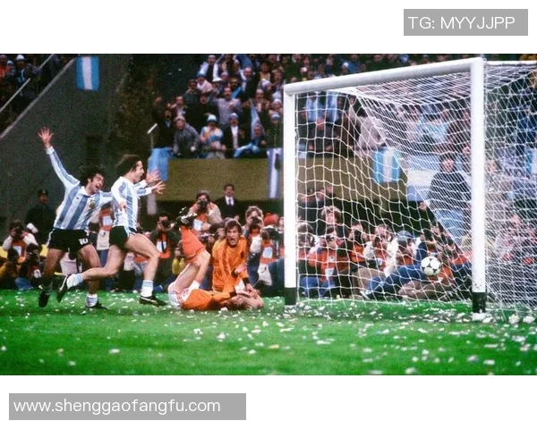 足球明星妻子们亮相世界杯背后故事揭秘与她们的精彩人生